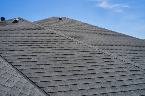 Best Roof Moss and Algae Removal  in Lynchburg, OH